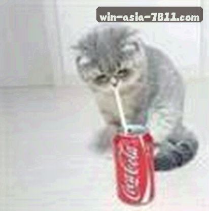 王磊